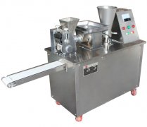 Best selling machine: dumpling machine