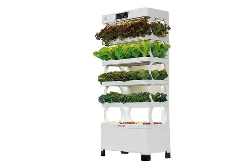 Indoor Use Garden Hydroponic greenhouse growing system for lettuce vegetable