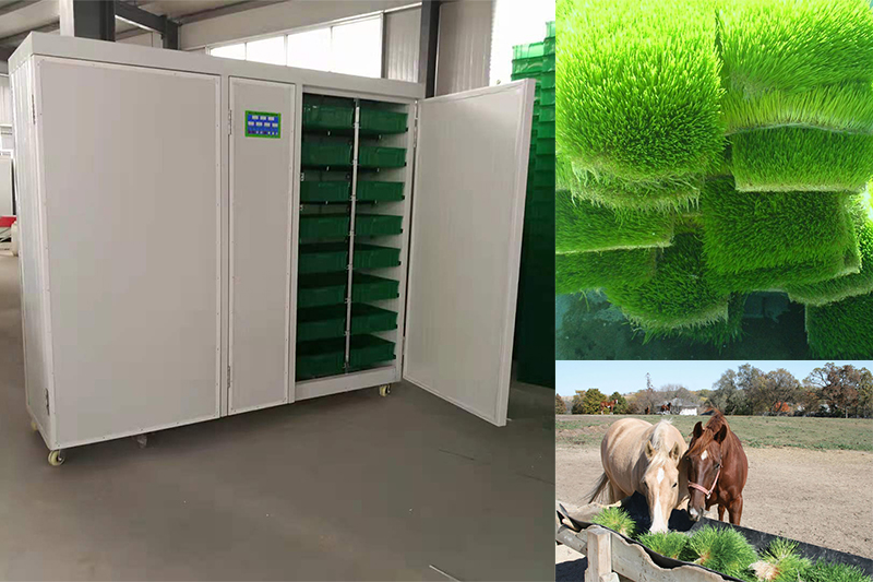 Multi-functional hydroponic system hydroponic fodder machine for farm use