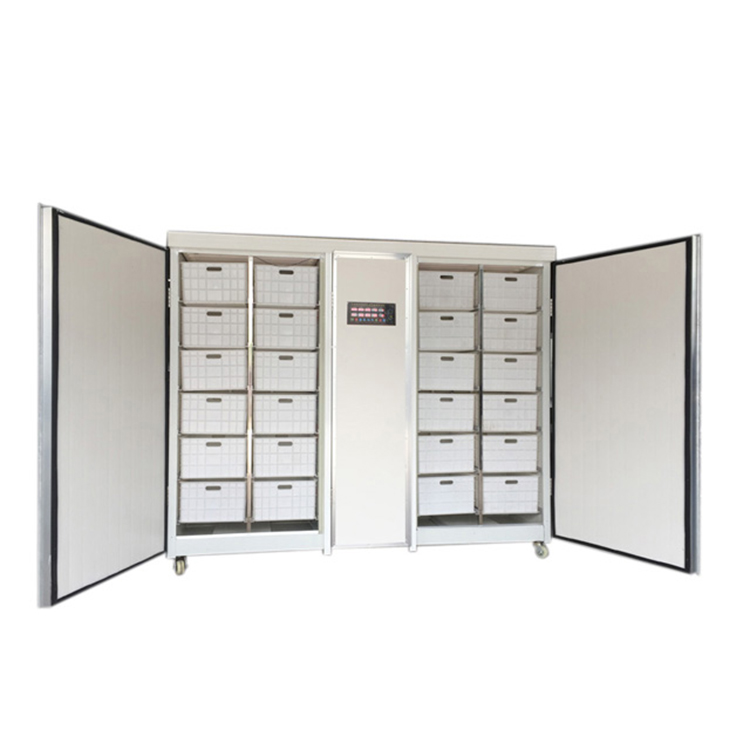 High Output Barley Green Mung Bean Sprouts Making Machine  Bean Sprout Growing Machine bean sprout machine for sale